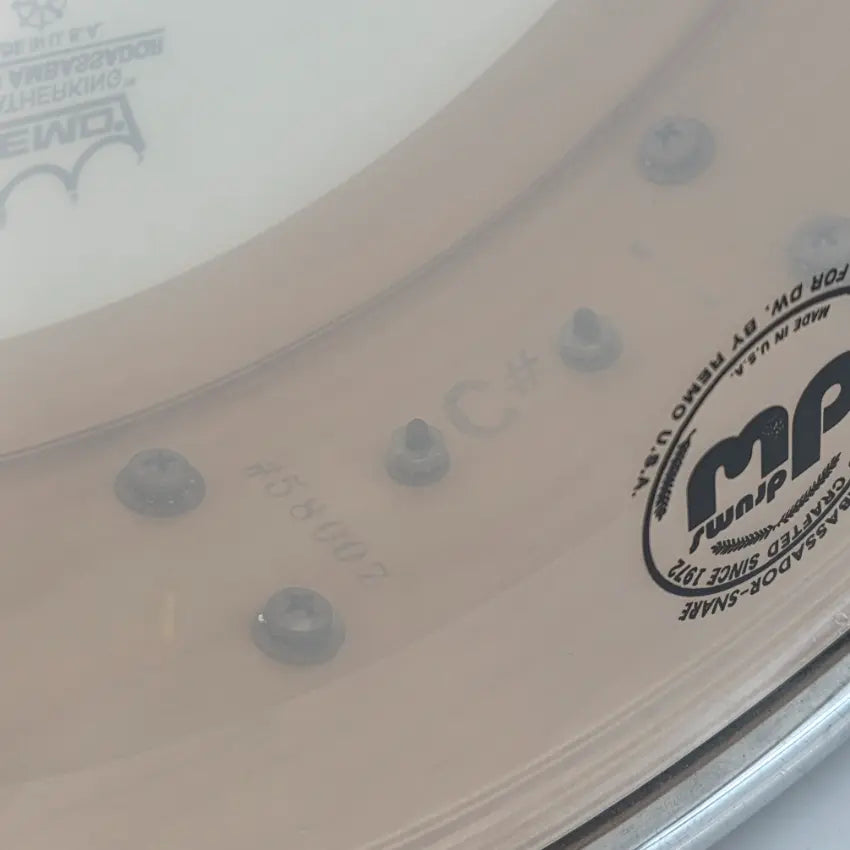 Used DW Collectors Maple Snare Drum 14x5 Satin Natural - Good - Drum Center Of Portsmouth