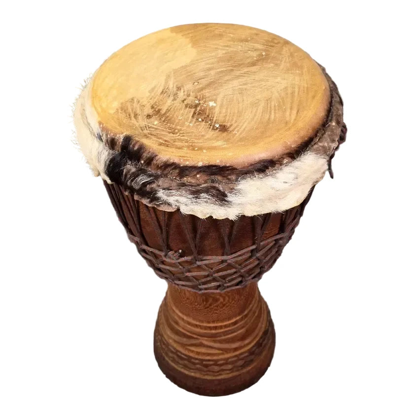 Used Misc Hand Carved Djembe 12" - Good - Drum Center Of Portsmouth