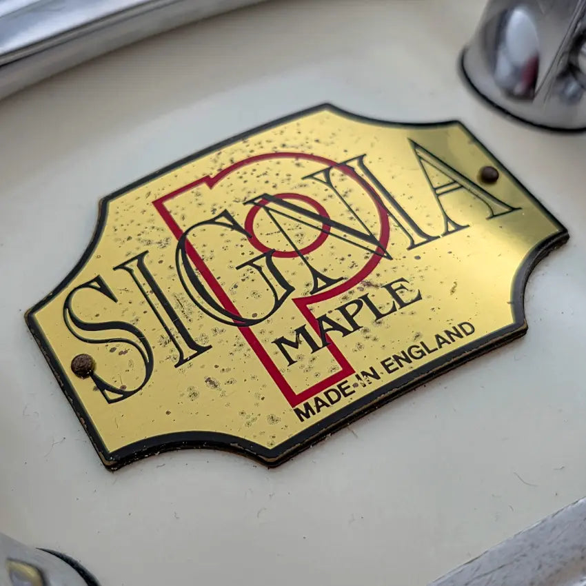Used Premier Signia Maple Snare Drum 14x5 Piano White - Very Good - Drum Center Of Portsmouth