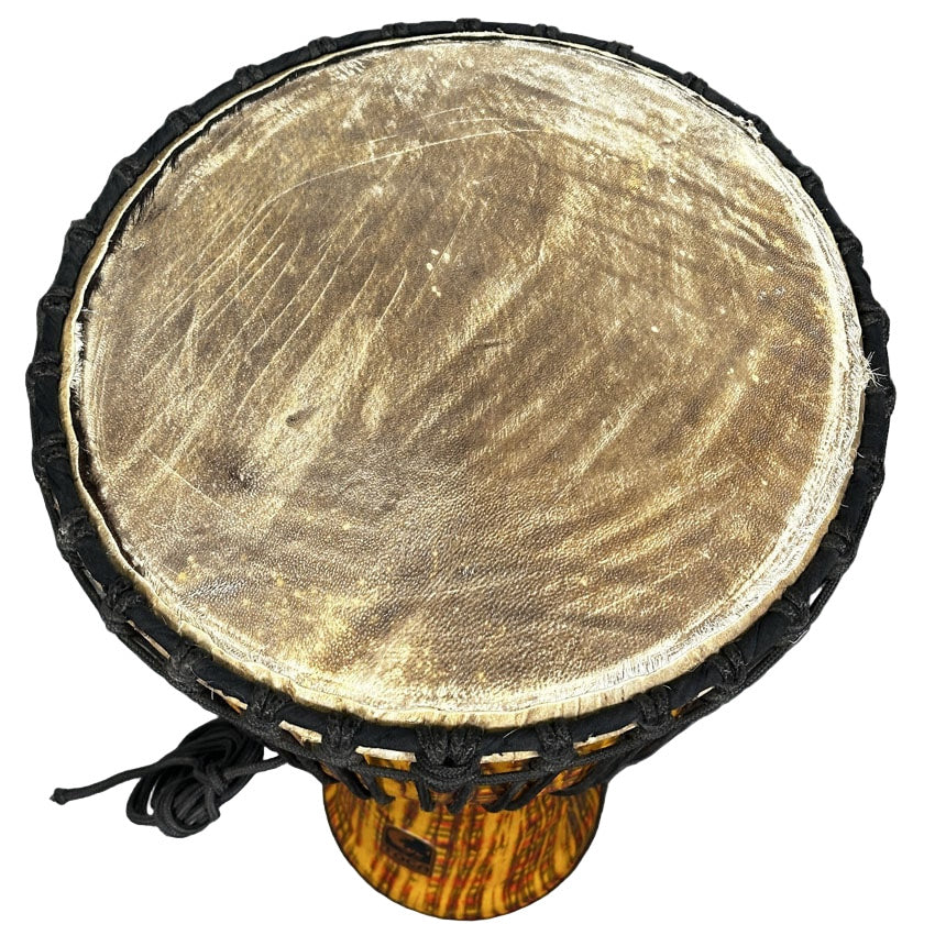 Used Toca Djembe 14" w/Matching Bag - Very Good - Drum Center Of Portsmouth