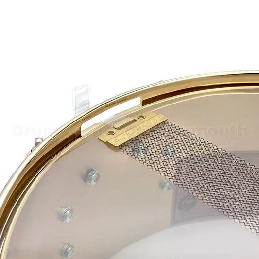 DW Collectors Bell Brass Snare Drum 14x5.5 w/Gold Hardware - Drum Center Of Portsmouth
