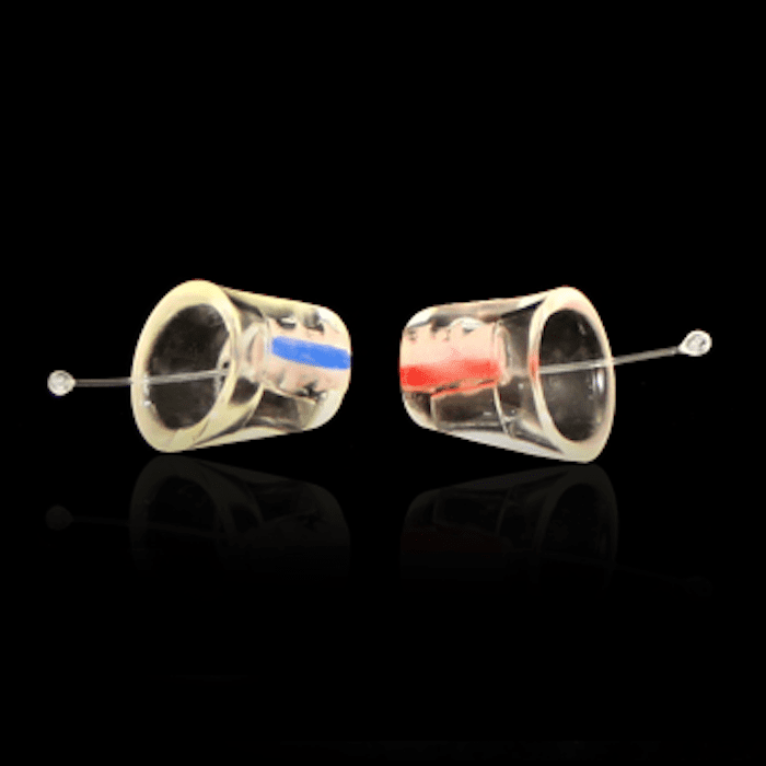 EARasers Musician's HiFi Earplugs-Large
