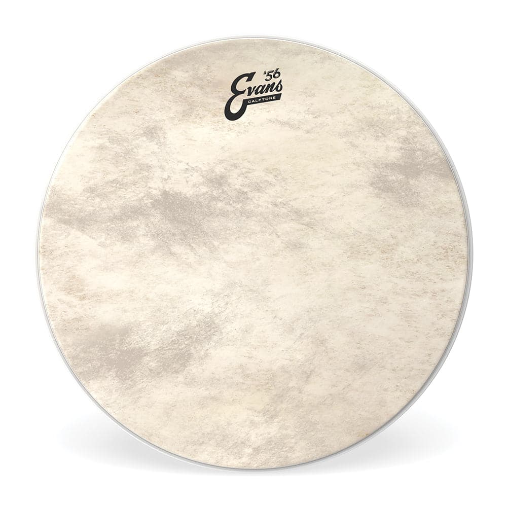 Evans Calftone Drum Heads : 24 Bass